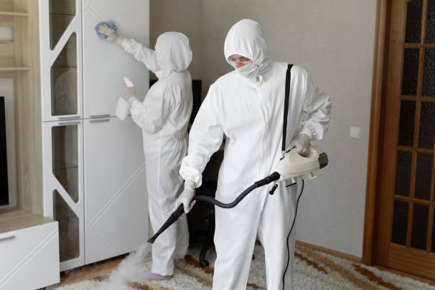 24/7 Emergency Odor Removal experts in Spring Valley, AZ